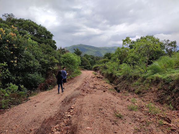 Kyatanamakki hills Station, photo 2 of 8