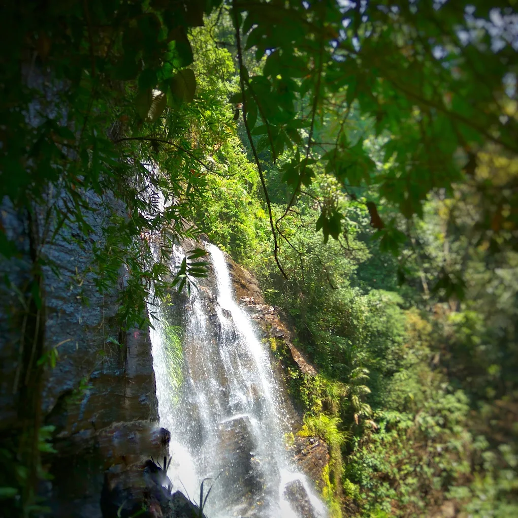 Jhari Waterfall, photo 2 of 10