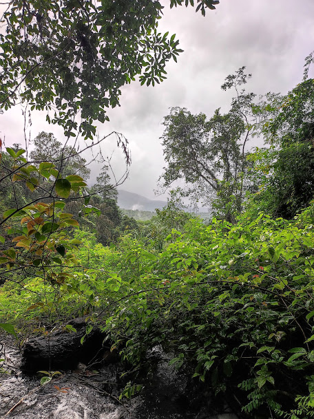 Vibhuthi Falls, photo 4 of 7