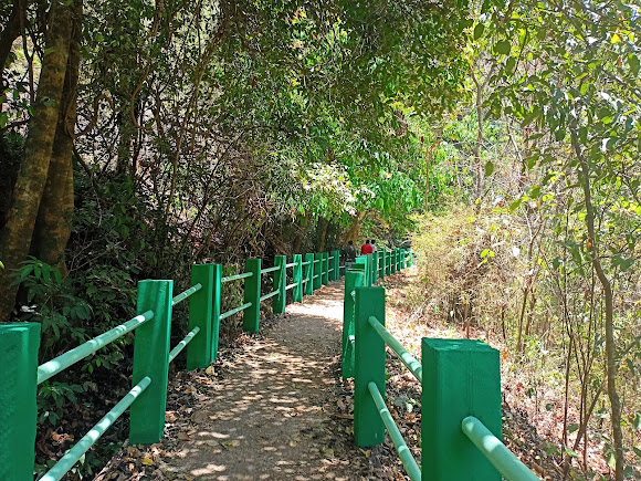 Sathodi Falls, photo 1 of 10