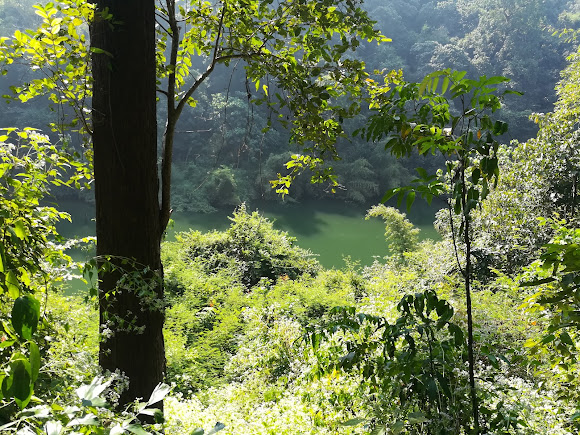 Sathodi Falls, photo 4 of 10