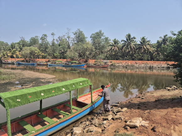 Honnavar backwater boating, photo 1 of 9