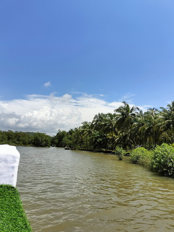 Honnavar backwater boating, photo 4 of 9