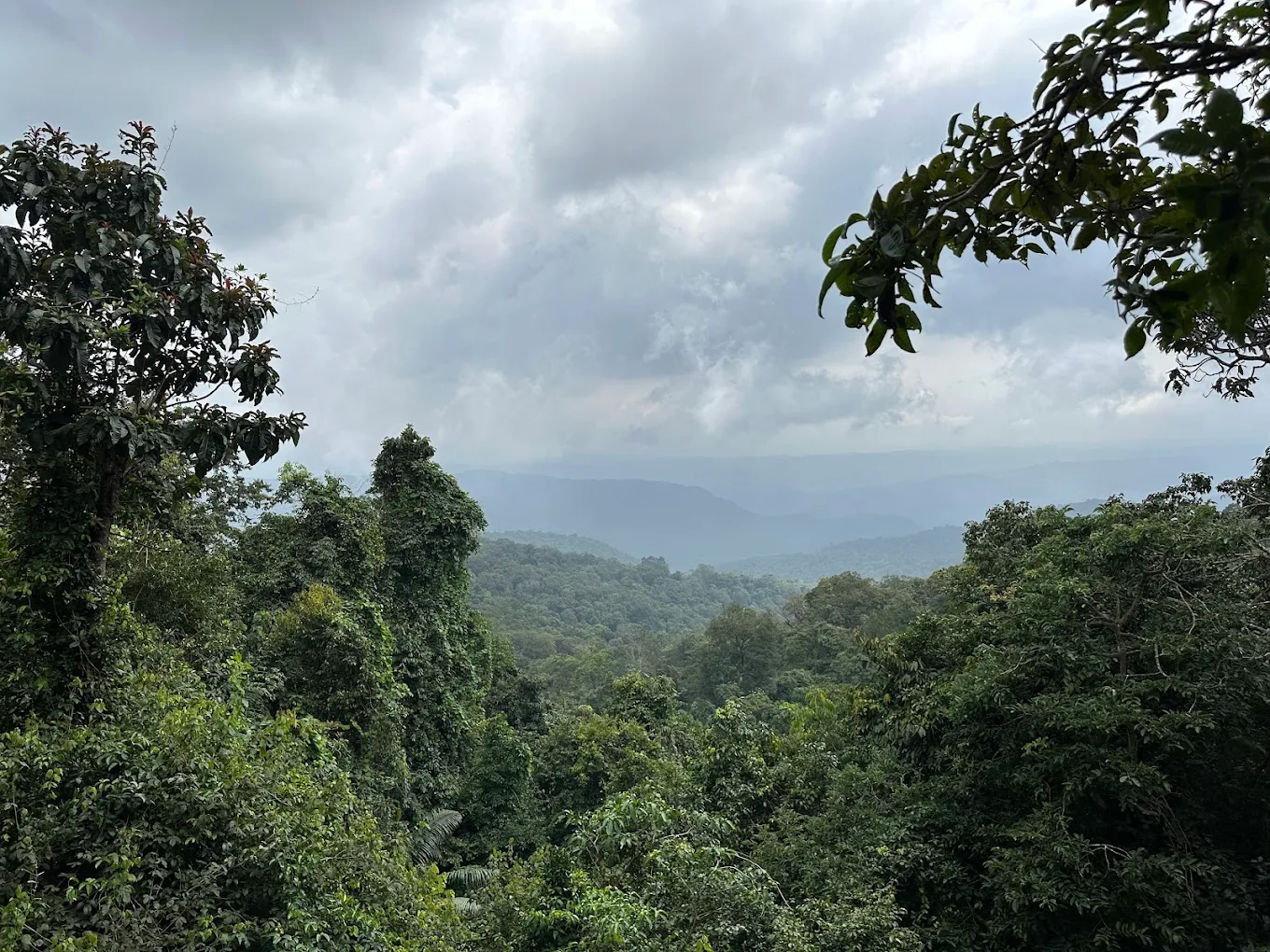Anshi National Park, photo 1 of 9