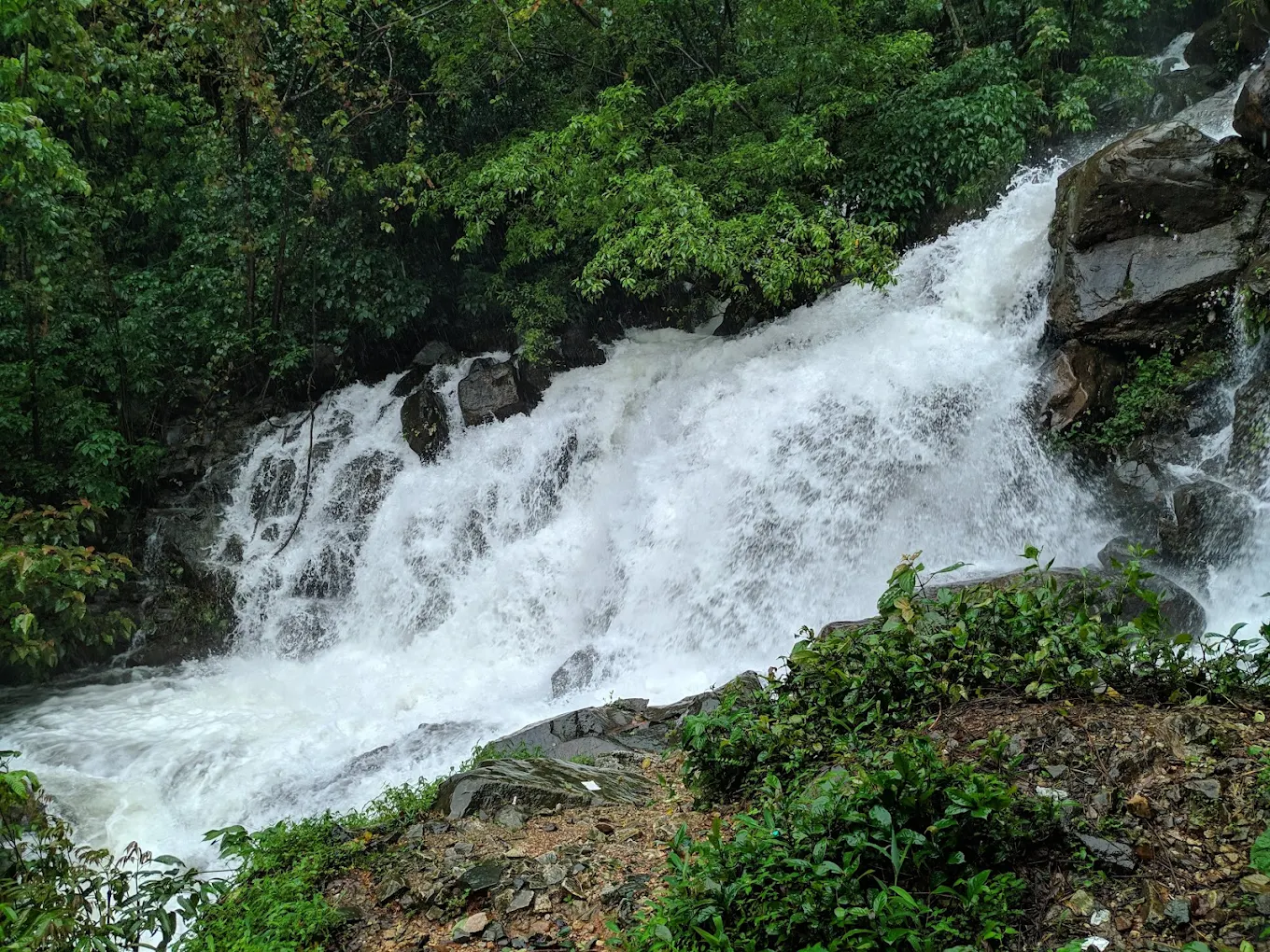 Anshi National Park, photo 3 of 9