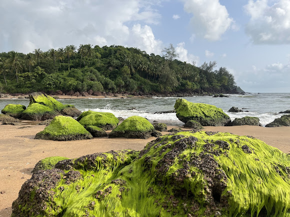 Karwar beach, photo 1 of 7