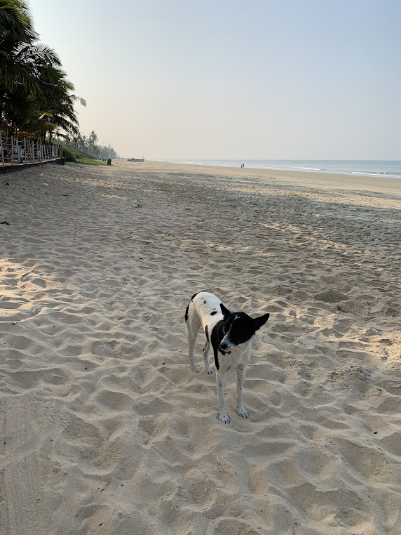 Karwar, Karnataka