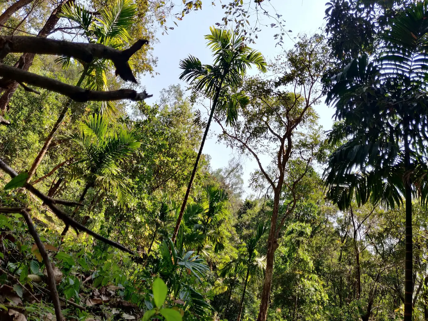 Shivamogga Zoo & Safari, photo 3 of 6