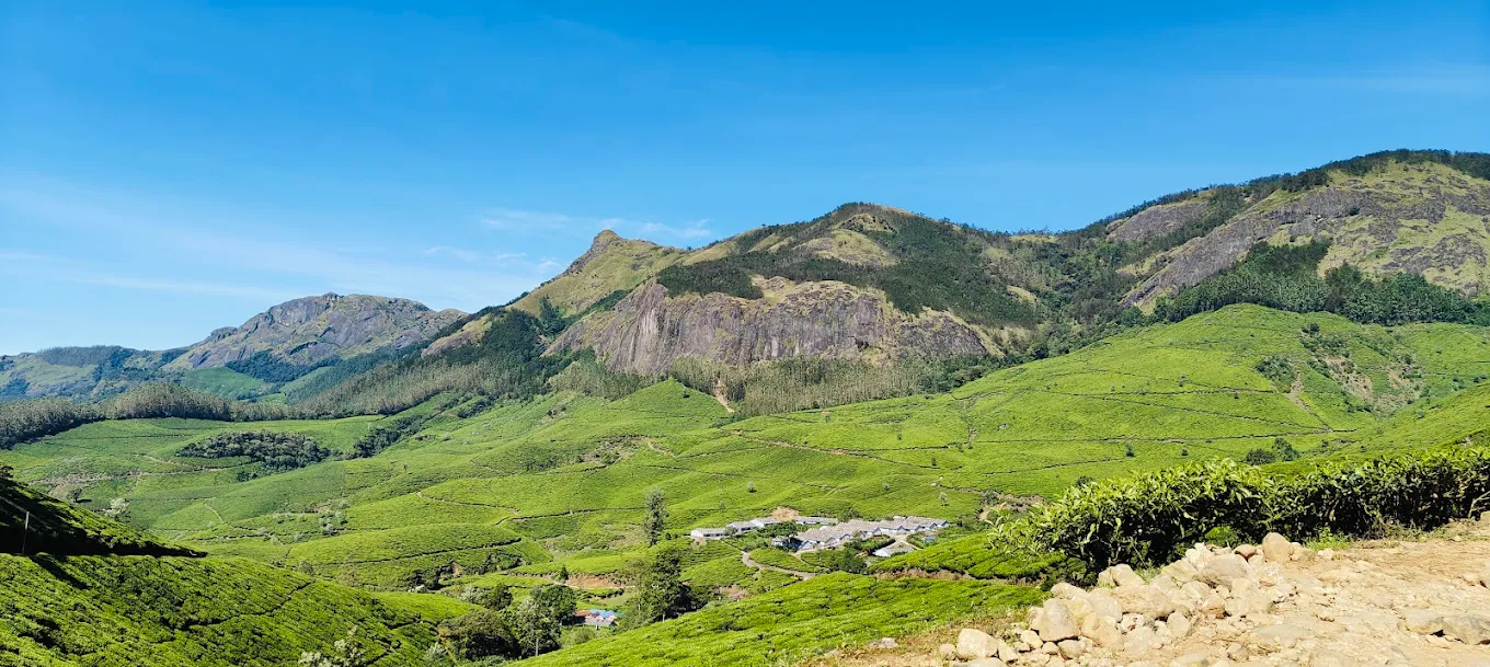 Kolukkumalai Tea Estate, photo 3 of 11