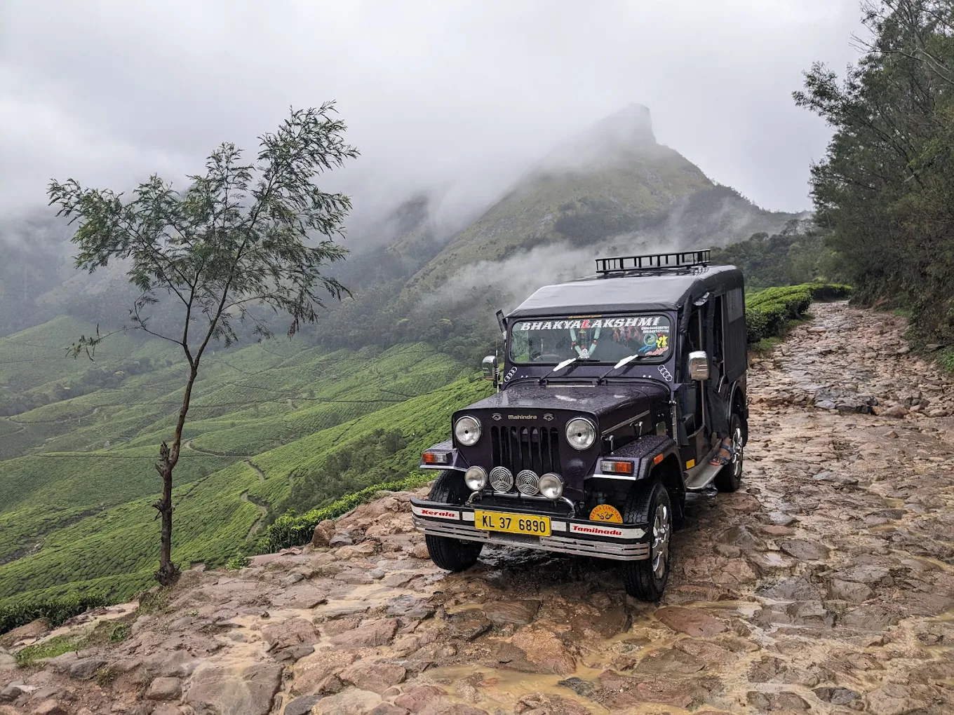 Kolukkumalai Tea Estate, photo 4 of 11