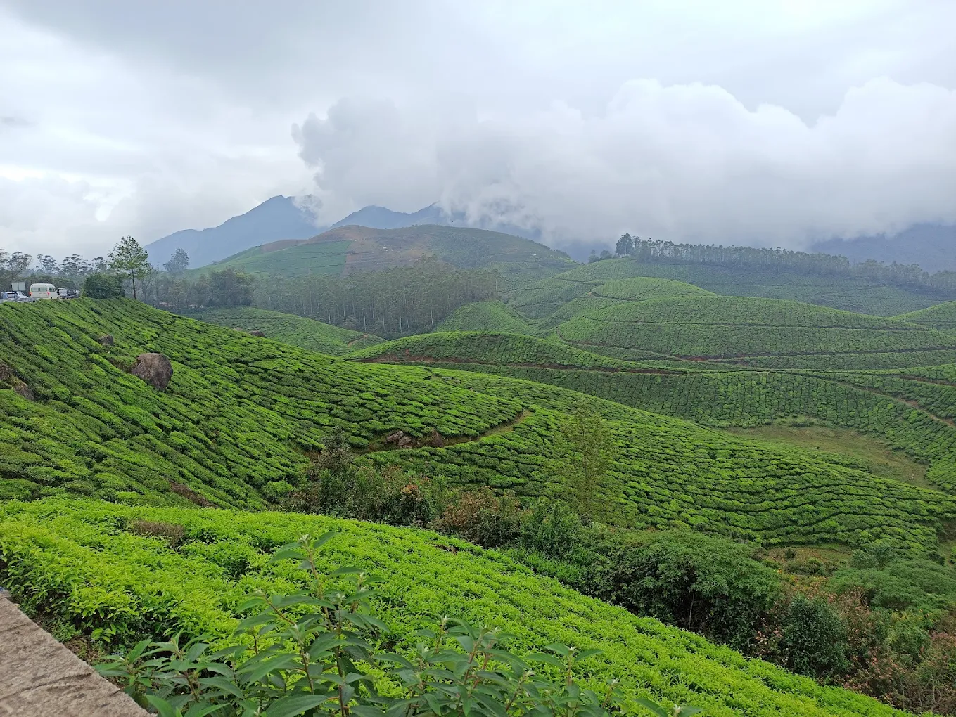 ECHO point Munnar, photo 2 of 9