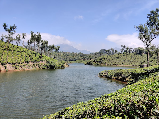 suryanelli Anayirankal camp, photo 3 of 10