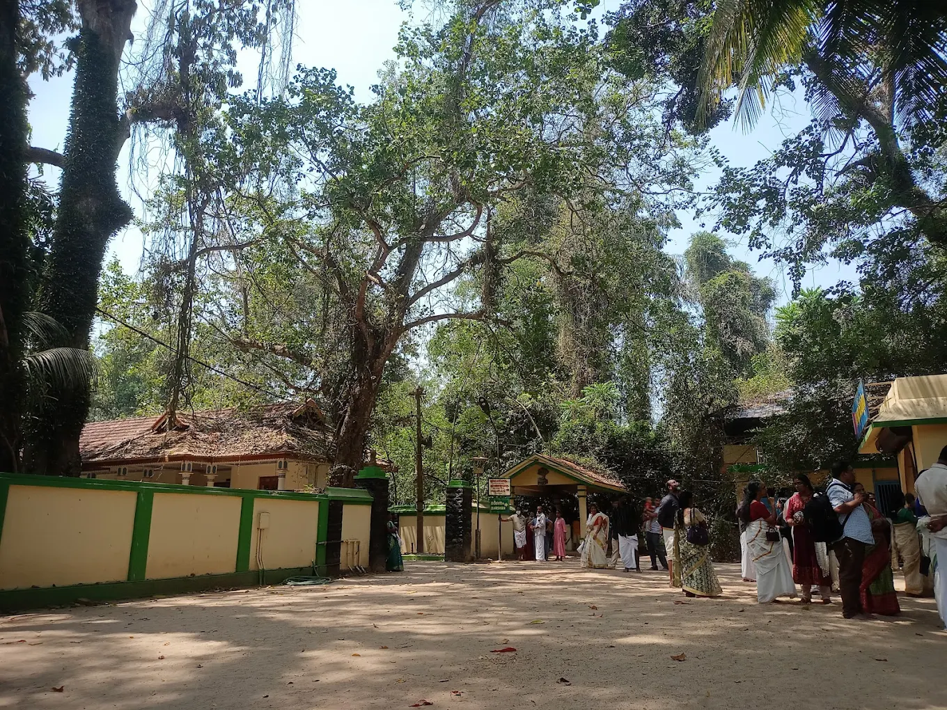 Mannarasala Sree Nagaraja Temple, photo 2 of 9