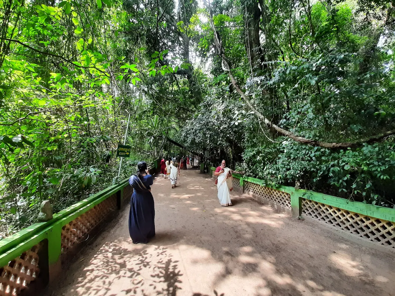 Mannarasala Sree Nagaraja Temple, photo 3 of 9