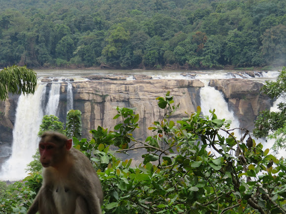 Athirappilly Water Falls, photo 4 of 8