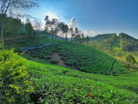 Amalagiri View Point, photo 1 of 8