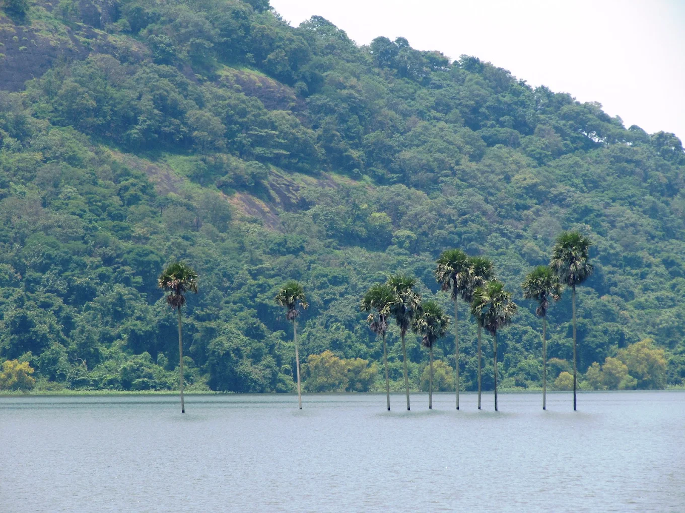 Mullaperiyar Dam, photo 4 of 5