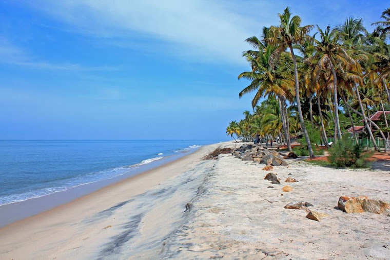 Marari Village Beach Resort, photo 1 of 8