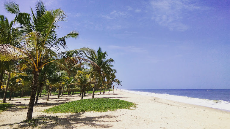 Marari Village Beach Resort, photo 2 of 8