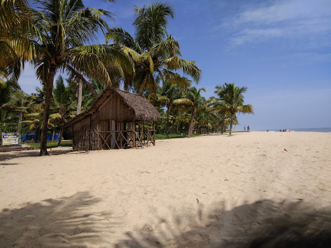 Marari Village Beach Resort, photo 3 of 8