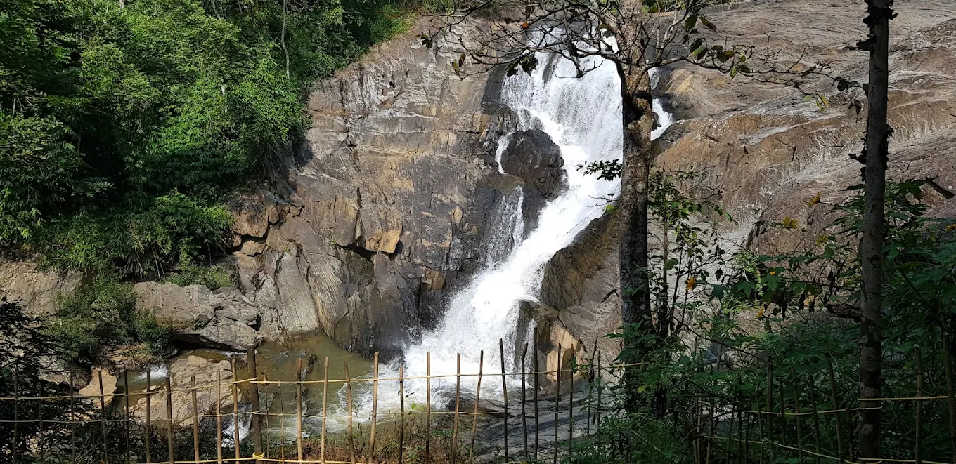Wayanad, Kerala, photo 2