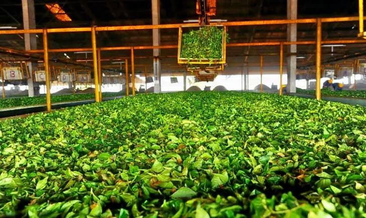 Wayanad, Kerala