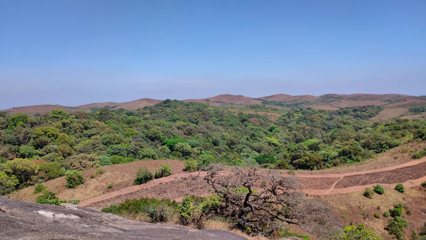 Pakshipathalam, photo 4 of 6