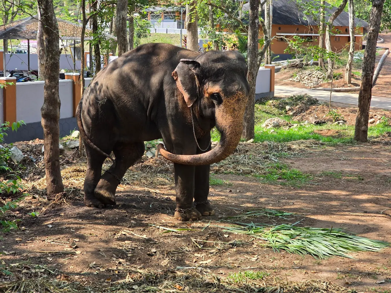 Neyyar Wildlife Sanctuary, photo 3 of 10
