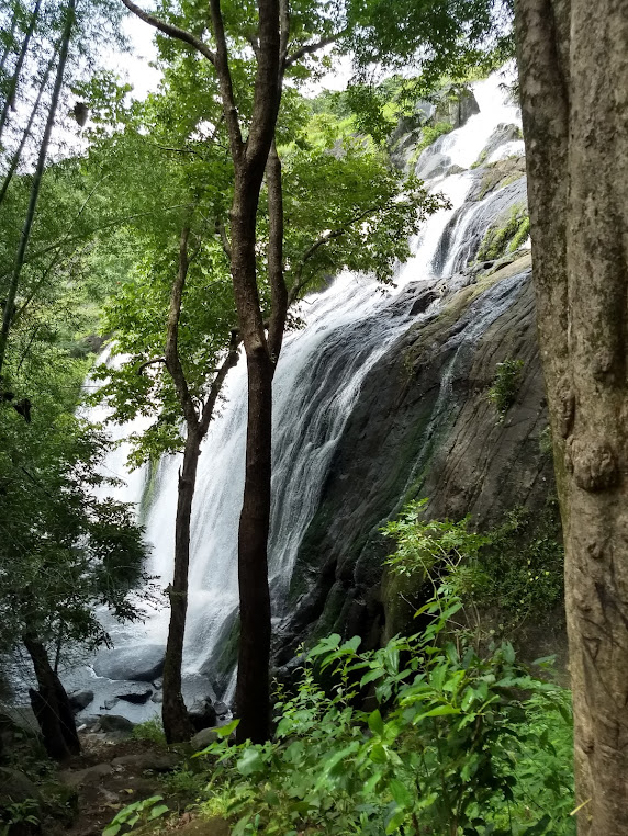 Marottichal Watefalls, photo 3 of 9