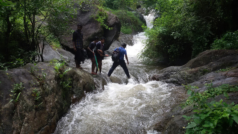 Marottichal Watefalls, photo 4 of 9