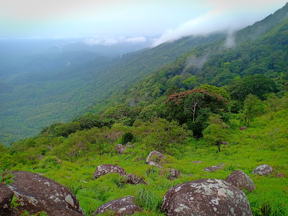 Ponmudi Hill Station, photo 4 of 9