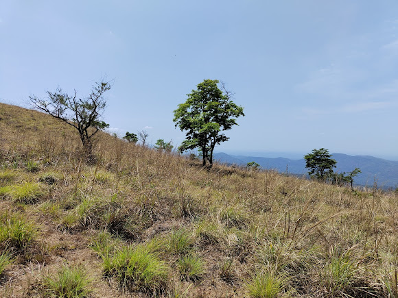 Ranipuram, photo 3 of 8