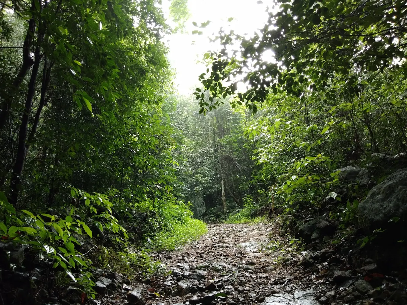 Kottancheri Hill Station, photo 1 of 7
