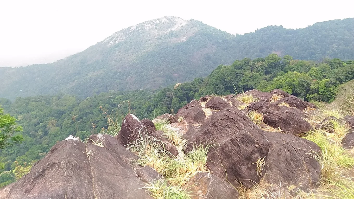 Kottancheri Hill Station, photo 3 of 7