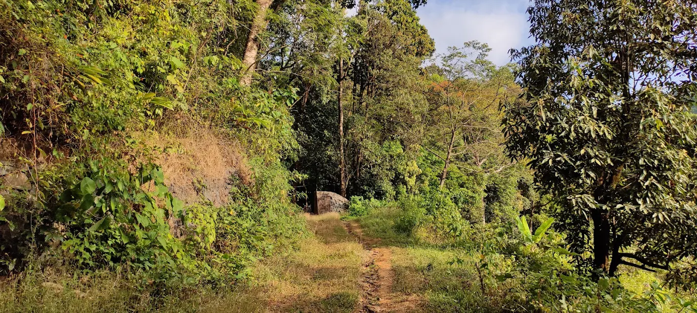 Kottancheri Hill Station, photo 4 of 7