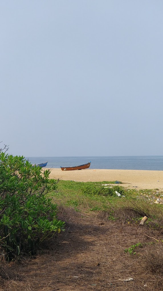 Manjeshwar Beach, photo 3 of 5