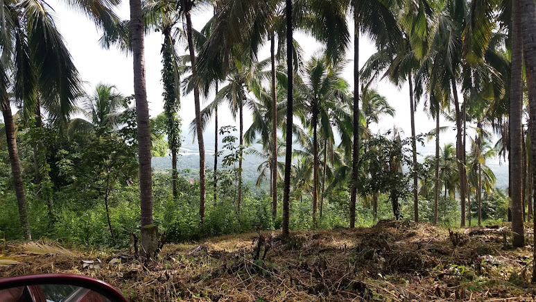 Ezhimala, photo 2 of 8