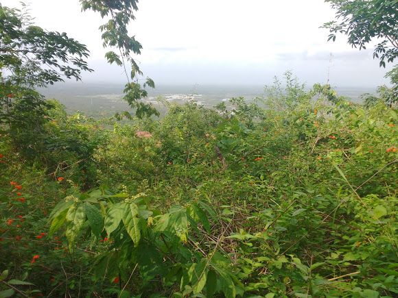 Ezhimala, photo 3 of 8