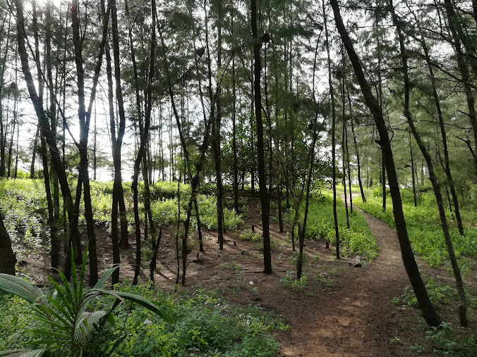 Kanwatheertha, photo 3 of 8