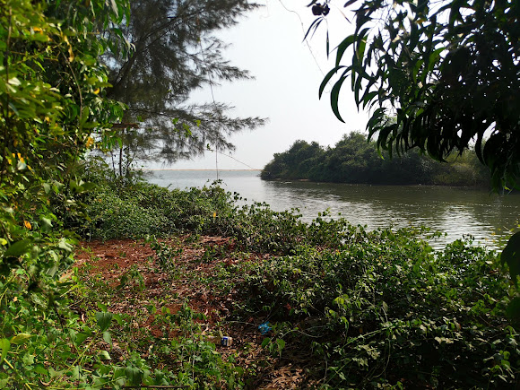 Arikady, photo 1 of 6