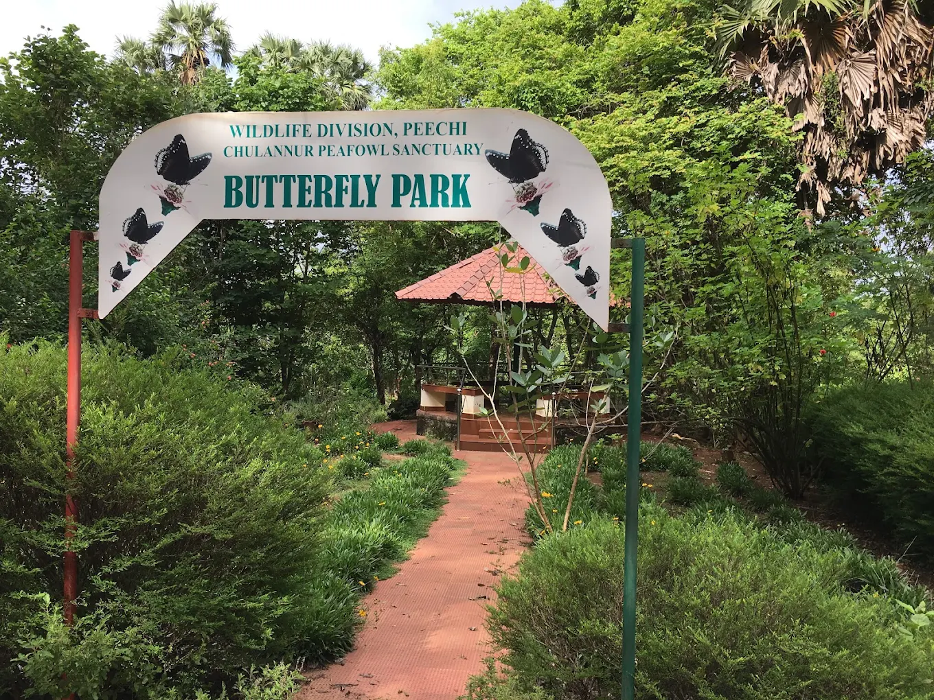 Palakkad, Kerala