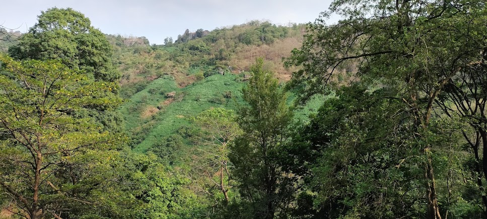 Attappadi, photo 3 of 8