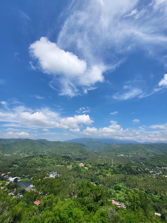 Palakkad, Kerala, photo 4