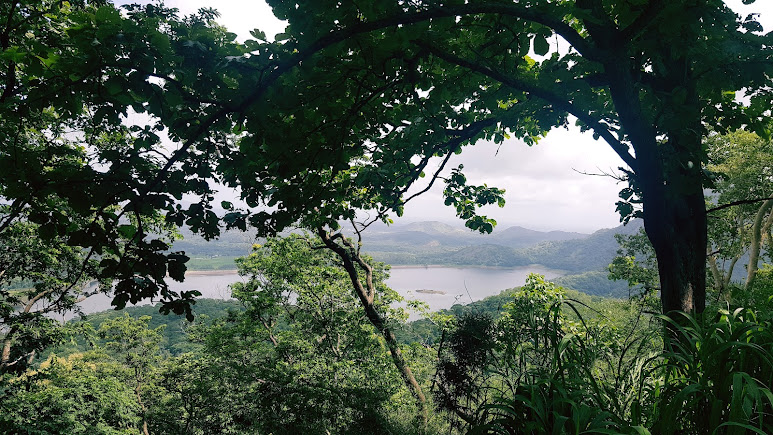 Palakkad, Kerala, photo 3