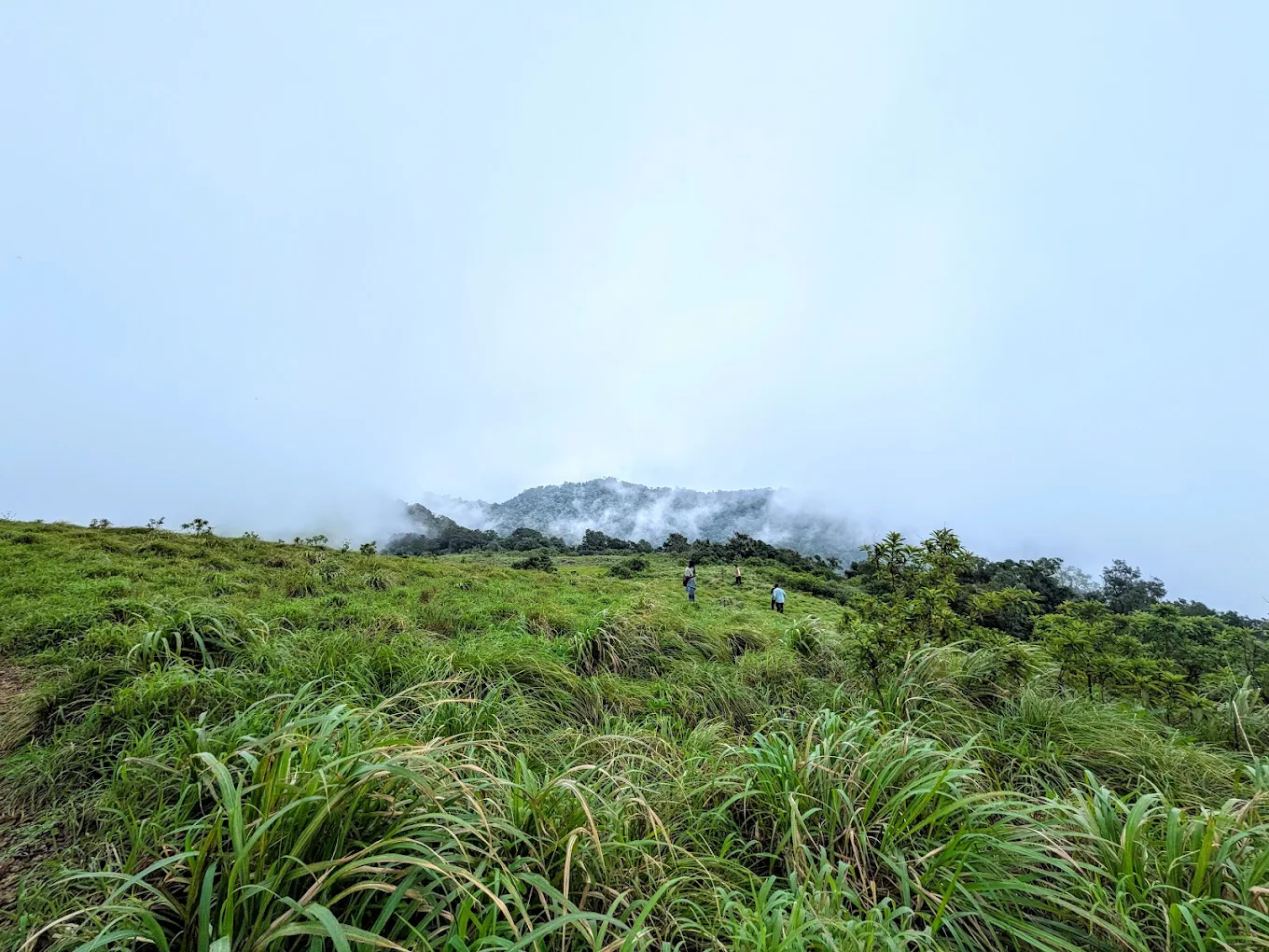 Paithalmala Tourism, photo 1 of 4