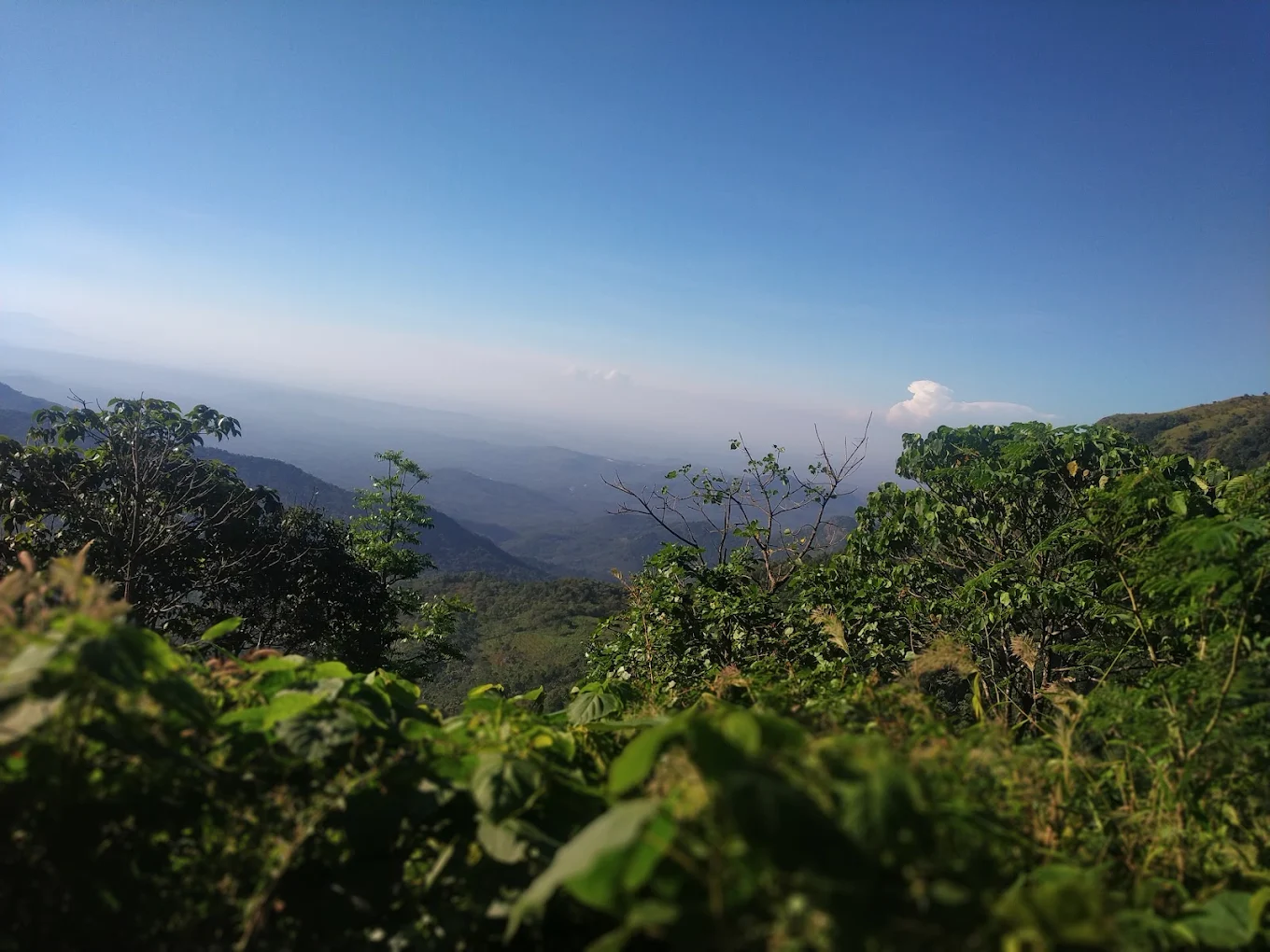 Paithalmala Tourism, photo 3 of 4