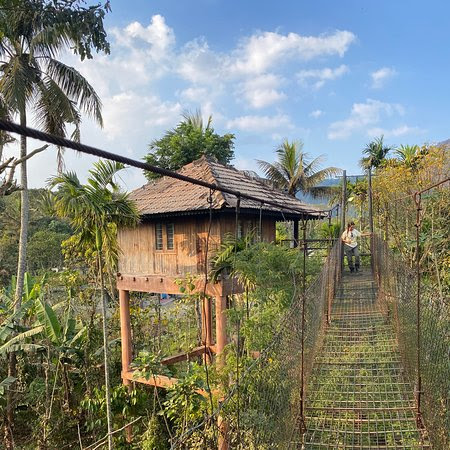 Green Park Spices plantation, photo 1 of 16