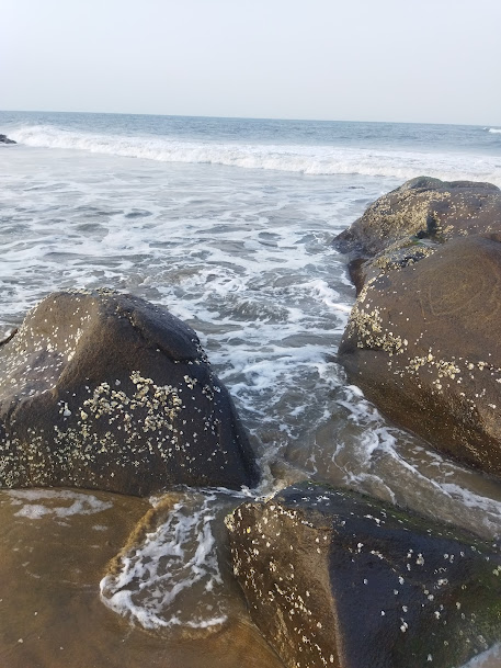 Kovalam Beach, photo 1 of 6