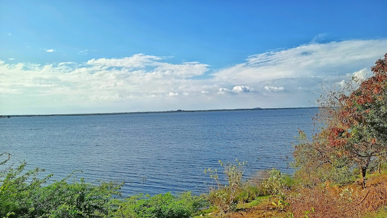 Madurantakam Lake, photo 1 of 5