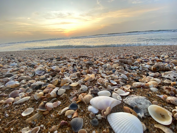 Akkarai Beach, photo 1 of 10